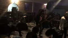 play 曲線のラティーナシーメールアンカーは、輪姦で大きな雄鶏を取ります